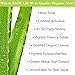 Aloe Life - Face & Body Lotion, Concentrated Formula, Hydrates Dry Skin, Contains Antioxidants, Minerals, & Herbal Extracts, Pleasant Grapefruit Scent, Safe For All Skin Types, Gluten-Free (4 oz)