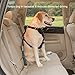 Kurgo Direct to Seatbelt Tether for Dogs, Adjustable Car Safety Belt Leash, Quick & Easy Installation, Works with Any Pet Harness, Carabiner Clip, Coastal Blue