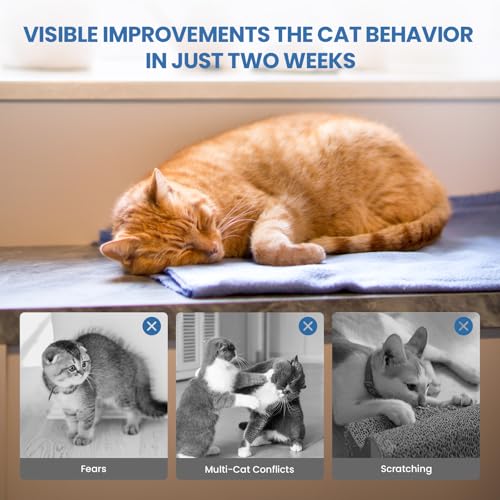 Mikccer 120 Days Cat Calming Plug-in, 6-in-1 Natural Pheromone Diffuser Kit, Effective Relaxants & Anxiety Relief for Cats to Relieve Stress, Fighting & Scratching, 2 Diffusers 4 Refills(48ml)