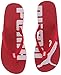 PUMA Men's Epic Flip V2 Athletic Sandal