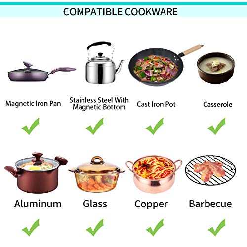 Portable Induction Cooktop induction stove Countertop Burner, 2200 W