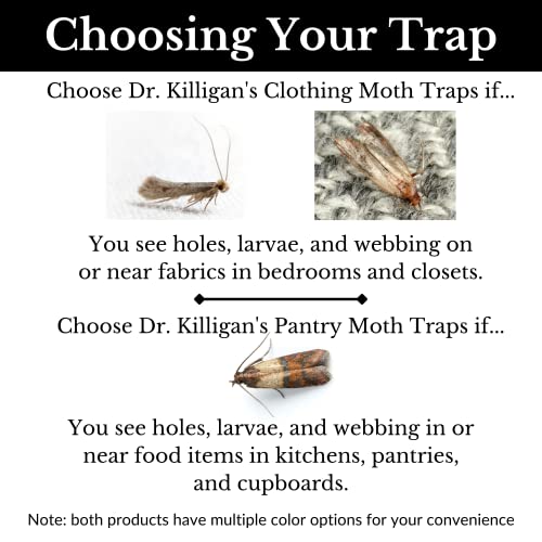 Dr. Killigan's Premium Clothing Moth Traps with Pheromones Prime 6