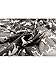 Womens Fun and Cozy Match Scarf Gorgeous Animal Printed Lightweight Scarves Wrap - Cute Little Horse