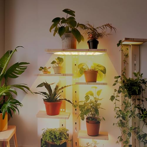 TERRIFI 4Pack Plant Grow Light, 40W Ultra-Thin Panel, 5000K Full Spectrum Grow Lights for Indoor Plants, 316 LEDs, 3/9/12H Timer, 10 Dimmable Levels, LED Grow Light for Indoor Pot Plants Bonsai, Plant