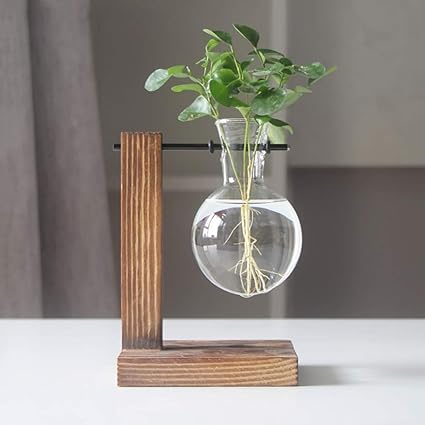 Transparent Glass Vase Hydroponic Flower Holder Fish Bowl Shaped