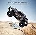 FLYZOE Remote Control Car 1: 16 Scale Buggy Vehicle 2.4Ghz RC Car Radio Controlled High Speed Off Road Racing Car