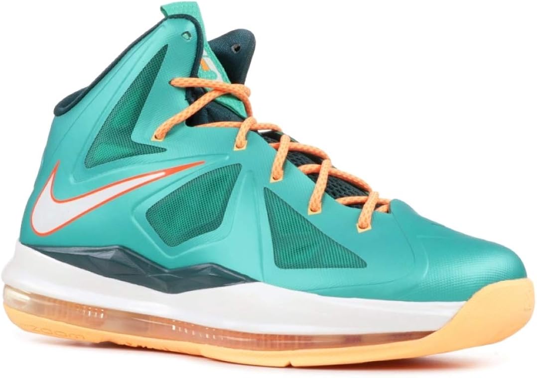 lebron 10 dolphins