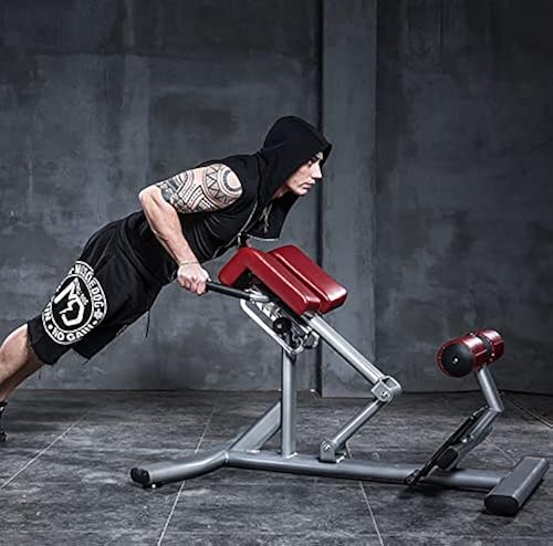 Roman Chair Back Extension Machine Lower Back Hyperextension