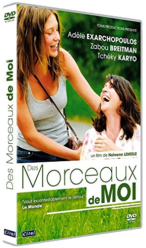 Des Morceaux De Moi