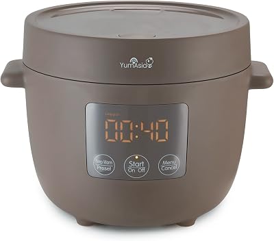 Yum Asia Tsuki Mini Rice Cooker 2.5 Cup Shinsei Ceramic Bowl Pebble Grey