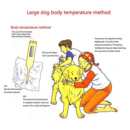 Digital Pet Thermometer,Fast Rectal and Oral Thermometer for Dogs, Cats, Horses, Pets and Livestock,Body Temperature Clinical Professional Detecting Pet Veterinary Thermometer