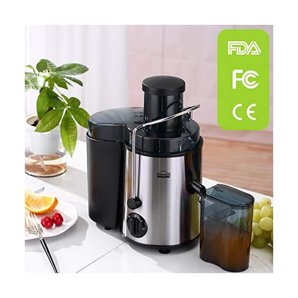 Juicer Machine,DEWINNER Stainless Steel Fruit and Vegetable Juice Extractor Fountain Cold Maker, Centrifugal Fountain with 2 Speed Settings, BPA-Free, Easy Clean Dishwasher Safe with Gift
