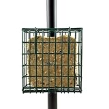 Droll Yankees SFPC Suet Feeder Pole Clamp Single