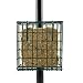 Droll Yankees SFPC Suet Feeder Pole Clamp Single primary
