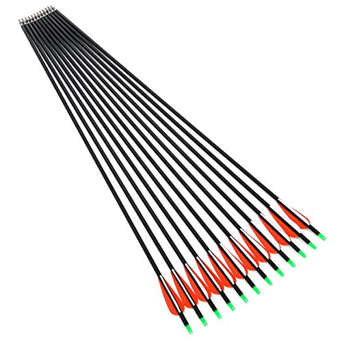Muhubaih Archery Outdoor Hunting Carbon Arrows 12PCS 30" Archery Metal tip 7.8mm Shaft Spine 550 Removable Arrows with Field Points Replaceable Tips for Recurve & Compound Bow(12Pcs)