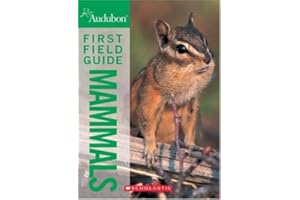 National Audubon Society First Field Guide Mammals