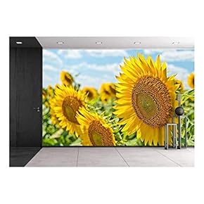 Beautiful Field with Sunflower - Removable Wall Mural | Self-Adhesive Large Wallpaper - 66x96 inches