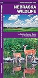 Nebraska Wildlife: A Folding Pocket Guide to Familiar Animals (Wildlife and Nature Identification)