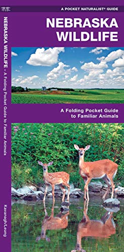 Nebraska Wildlife: A Folding Pocket Guide to Familiar Animals (Wildlife and Nature Identification)