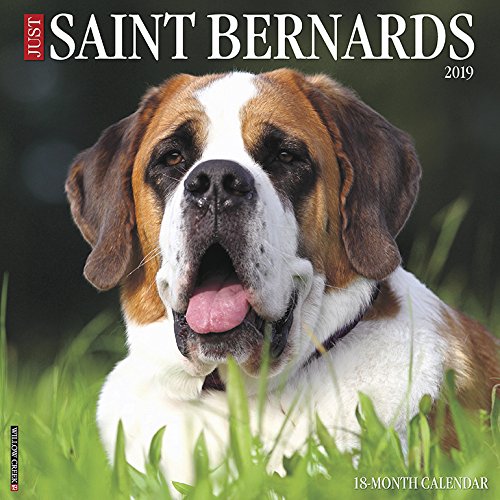 Just Saint Bernards 2019 Wall Calendar (Dog Breed Calendar) Just Saint Bernards 2019 Wall Calendar (Dog Breed Calendar)