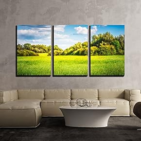3 Piece Canvas Wall Art - Green Field with Trees and Blue Sky. Nature Landscape in Summer - Modern Home Art Stretched and Framed Ready to Hang - 16"x24"x3 Panels