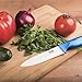 Vos Ceramic Kitchen Utility Paring Knife - 5” Inch Chef Zirconia Blade with Sheath - Blue