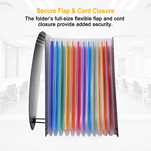 12 Pockets Expanding File Folder, AGPtEK A4 Document Organizer with Tabs and Bungee Closure, Expandable Bottom Stand & Colored Labels - Black