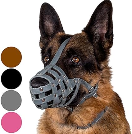 Amazon Com Collardirect Dog Muzzle German Shepherd Dalmatian