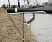 Fishing Rod Holder with Automatic Tip-Up Hook Setter