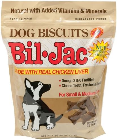 netherland dwarf hotot