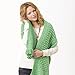 Caron Simply Soft Solids Yarn, 6oz, Gauge 4 Medium, 100% acrylic - Green - Machine Wash & Dry (H970039779)