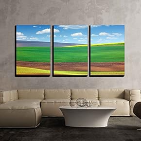 3 Piece Canvas Wall Art - Background of Amazing Abstract Colorful Fields - Beautiful Nature Landscape - Modern Home Art Stretched and Framed Ready to Hang - 16"x24"x3 Panels