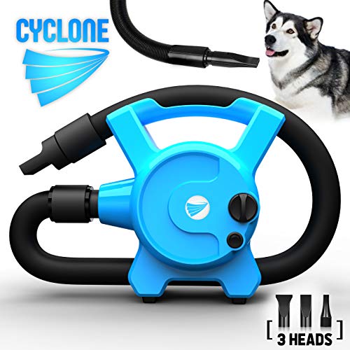 cyclone pet dryer