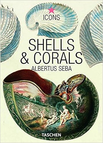 Shells Corals Icons Albertus Seba 9783822832523 Amazon Com