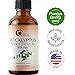 Pure Eucalyptus Essential Oil for Diffuser - Natural Eucalyptus Aromatherapy Diffuser Oil for Scalp Hair Skin and Nails - Undiluted Eucalyptus Essential Oils for Diffusers for Home and Self Care