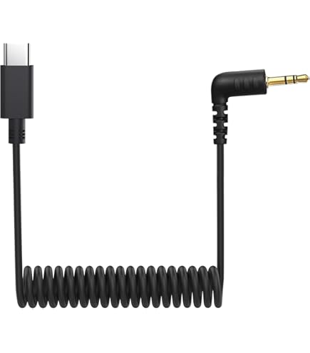 Amazon.com: TIEDXIOY USB C Microphone Cable for RODE VideoMic Go