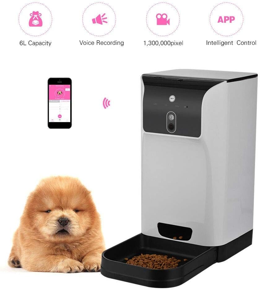 pet feeder with camera
