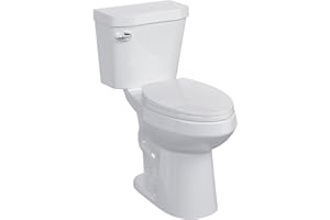 ELITEEDGE Two-Piece Toilets for Bathrooms, Comfort ADA Toilet with 19" Height, Elongated with Soft Close Seat, Power Flush 1.28 GPF