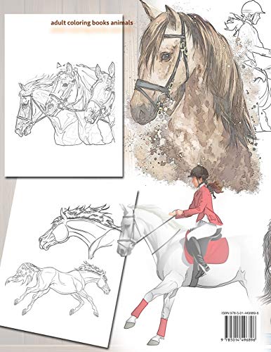 Realistic horses coloring book: adult coloring books animals 1