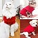 Cat Sweater,Turtleneck Knitted Kitten Clothes,Cat Sweaters for Cats only, Sphynx Cat Clothes,Small Dog Sweaters(Red,M)