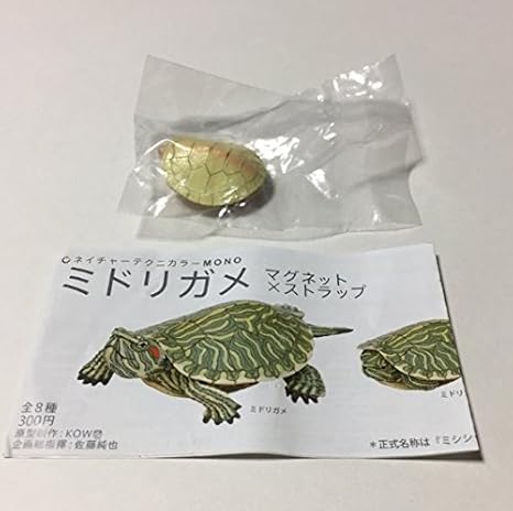 Amazon Co Jp ネイチャーテクニmono ミドリガメ マグネット ストラップ アルビノ 潜頸 マグネット 単品 ホビー