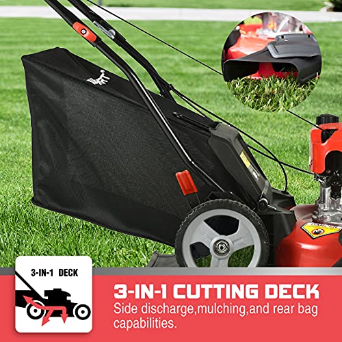 PowerSmart Push Lawn Mower Gas Powered 21 Inch, 3in1 Gas Lawn Mower