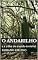 Livro O ANDARILHO: e a trilha do mundo invisível