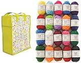 Mira Handcrafts 20 Acrylic Yarn Balls | Total of 875 Yards Knitting and Crochet Yarn | Perfect Starter Kit | Multicolor Yarn Set | Storage Bag and 7 Ebooks with Patterns Included | DK Craft Yarn Pack