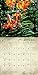 Faerie Houses 2016 Calendar