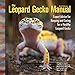 The Leopard Gecko Manual: Expert Advice for Keeping and Caring for a Healthy Leopard Gecko by Philippe de Vosjoli, Thomas Mazorlig