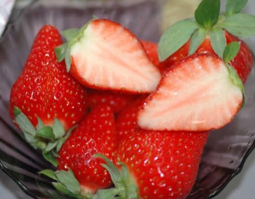 いちごのおすすめ14選 甘い種類は 高級いちごもご紹介 マイナビおすすめナビ