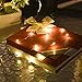 LED String Lights,DecorNova 19.7ft 60 LEDs Copper Wire String Lights IP44 Waterproof with Timer and 3AA Battery Case, Warm White (Set of 1)