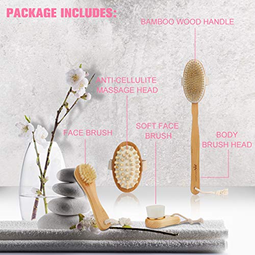 Premium Dry Brushing Body Brush Set for Lymphatic Drainage and