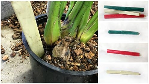 12 inch Gardeners Tamping and Potting Stick Tool for Orchids and Household Plants (Green)